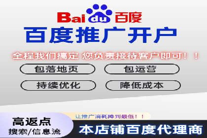 SEM代理案例：揭秘成功背后的秘密